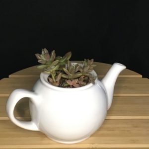 Short White Teapot