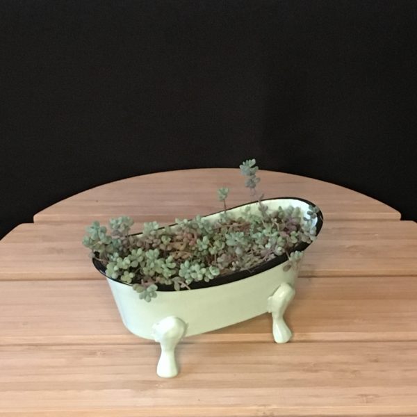 Clawfoot Tub view 2