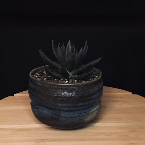 Pinch Pot view 3