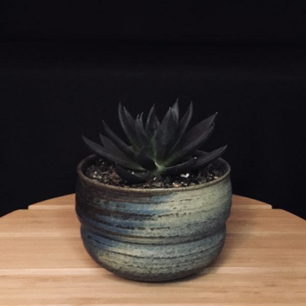 Pinch Pot view 2