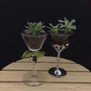 Cocktail Glasses