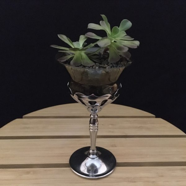 Silver Cocktail Glass