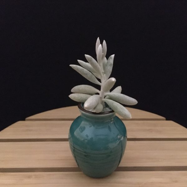 Teal Vase view 2